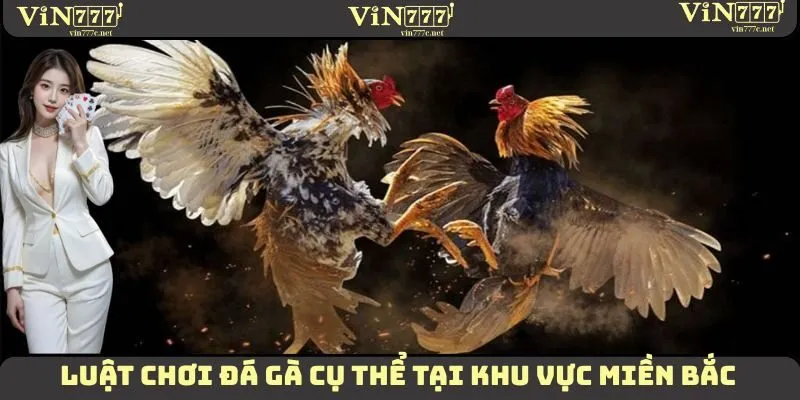 Luật chơi đá gà cụ thể tại khu vực miền Bắc