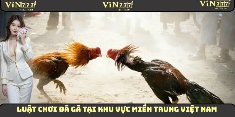 Luật chơi đá gà tại khu vực miền Trung Việt Nam