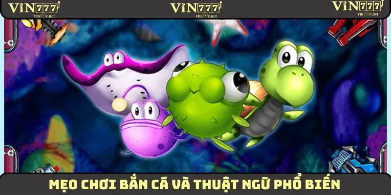 Mẹo chơi bắn cá và thuật ngữ phổ biến